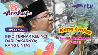 Si Anabul RTV - Kang Lintas Sang Pakar Kelinci