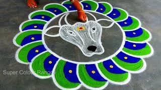 Mattu pongal kolam 2025sankranthi muggulu new designsEasy Basavanna MugguluSuper Pongal rangoli