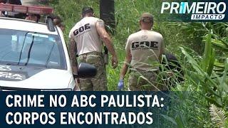 Corpos são encontrados em matagal no ABC Paulista | Primeiro Impacto (19/01/23)