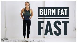 Low Impact FAT BURNING HIIT Workout // No Jumping Workout!