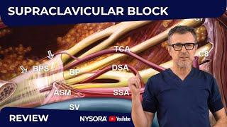 Supraclavicular Block: WHY, HOW, WHERE, AND WHAT’S NEW