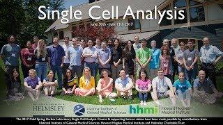 Single Cell Analysis Course at Cold Spring Harbor Laboratory