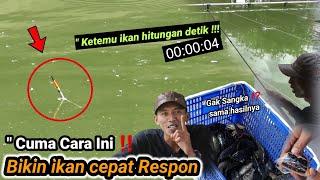 Cara bikin umpan ikan mas dasaran full amis‼️ dalam hitungan detik ikan cepat respon‼️ langsung test