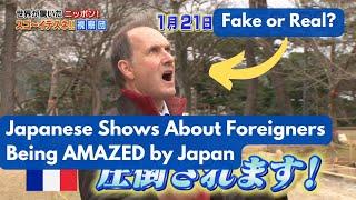 Japanese Shows About Foreigners Loving Japan: Fake or Real? Why Are They Popular?