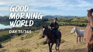 Good Morning World | Day 75 of 365 - Bay of Islands Horse Treks