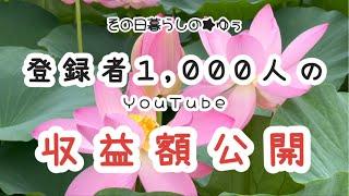 【貯金0円で熟年離婚】初めてのYouTube収益/蓮の花/朝活/62歳年金暮らし