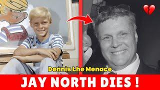 Dennis the Menace Actor Jay North Dies at 73 Due To Cancer