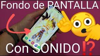  Cómo PONER un VIDEO de FONDO de PANTALLA (con MÚSICA) en ANDROID y iPHONE 2024 FÁCIL y RÁPIDO