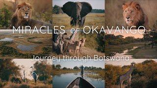 Miracles of Okavango - BOTSWANA