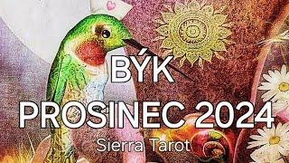 Výklad karet 🃏 BÝK - PROSINEC 2024️⭐️️