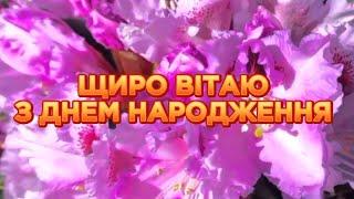 Гарне привітання з днем народження для жінки Привітання українською мовою