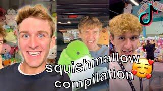 Squishmallow Hunting Tiktok Compilation