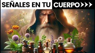 ¡Atento a las Señales de tu Cuerpo! Curanderismo Holístico y Poder de las Plantas Medicinales 