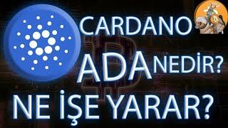 Cardano ADA Nedir? Ethereuma Kafa Tutan Coin KriptoPaladin