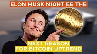 Tesla’s balance sheet seems soon to be converted to Bitcoin| TheCoinRepublic | Crypto