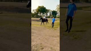 Photographer Horse Riding video today Short #shortvideo #shorts #shortsvideo #youtubeshorts #viral