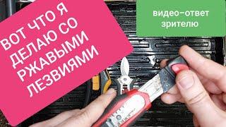 Я думал это все знают! О ржавеющих лезвиях. Мой видео-ответ зрителю.