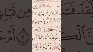 أحكام-التلاوة-من-سورة-العنكبوت #المصحف #بصوت-سمير-الصالحين #اكسبلور #قران_كريم #لايك #ترند