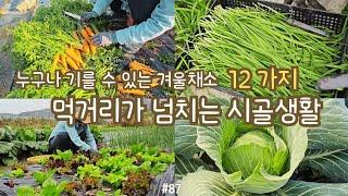 sub) 12 vegetables that are mostly delicious in this season! how to make kimchi, Korean dishes