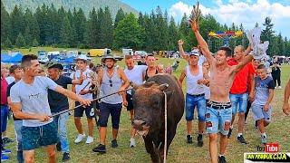 Vlašić - Gostilj / Najjača borba i kolo koje odjekuje Vlašićem trese se zemlja#edin