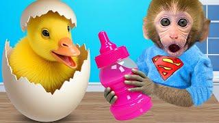 Bebe Mono BonBon prepara leche deliciosa y la bebe con el patito lindo - MONO BONBON ESP