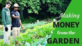 HOW WE MAKE MONEY from our ORGANIC market GARDEN!!