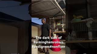 ￼ The dark side of Birminghamrollers #california #9a