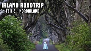 Irland-Roadtrip Teil 5: Nordirland - Giant's Causeway, Londonderry, Dark Hedges