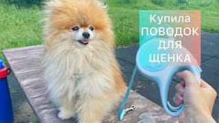 КУПИЛА Новый ПОВОДОК ДЛЯ Собаки | FLEXI