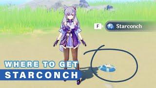 Where to Find STARCONCH | ALL Locations  ► Genshin Impact