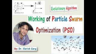 Numerical Example | Working of the Particle Swam Optimization (PSO)