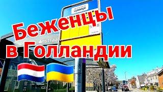 КАК живут беженцы в Голландии! 