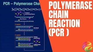 Polymerase Chain Reaction (PCR ) - Bioinformatics