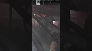 tarkov funny moments