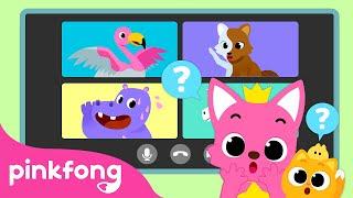 Learn about Animal Fun Facts in Songs | Poop, Colors, Body Parts, Sleeping Habit, Diet | Pinkfong