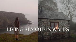 Moving to a remote cottage in Pembrokeshire, Wales - Vlog 3