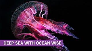 Deep Sea with Ocean Wise