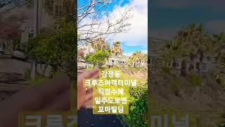 [전속] 강정동 크루즈여객터미널 직접수혜 일주도로변 꼬마빌딩