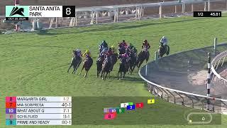 Schilflied wins Race 8 on Sunday, October 20 at Santa Anita Park