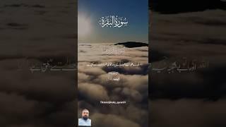 ALQURAN urdu Translation   #qurantranlation #urdu #explore #quranictranslation #reaction #islamic