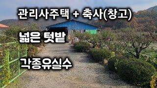 6075번) 농가주택 넓은텃밭 유실수 창녕부동산 창녕축사 관리사주택 매매