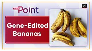 Revolutionary Gene-Edited Bananas | Food Waste | To The Point | Drishti IAS English