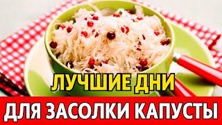 В МАРТЕ 2024 - когда солить капусту, чтобы была очень вкусной. Лучшие даты по лунному календарю