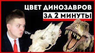 КАКОГО ЦВЕТА БЫЛИ ДИНОЗАВРЫ? УЗНАЙ ЗА 2 МИНУТЫ! / FACTOFF