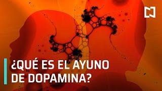 ¿Qué es el ayuno de dopamina? - Hora 21