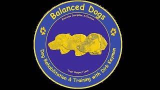 Laughter & Facts 1 - Vermenschlichen des Hundes * Balanced Dogs * Hundeerziehung Hundetraining