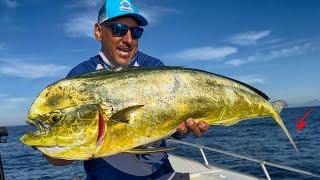 PESCANDO EM CIMA DO NAUFRÁGIO NUNCA Vi... TEM MAIS PEIXE QUE ÁGUA | Pescaria Ilha da Queimada Grande