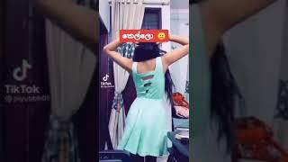 ගැම්මක්  Funny Tik Tok SL Videos sinhala 2021 | Sri Lank Compilations #Lovers #shorts #video #sho