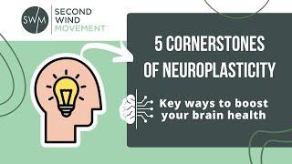 5 Cornerstones of Neuroplasticity