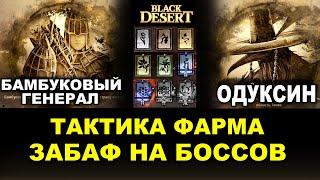 ТАКТИКА: БАМБУКОВЫЙ ВОИН и ОДУКСИН в БДО. Забаф на фарм боссов в BDO (Black Desert)